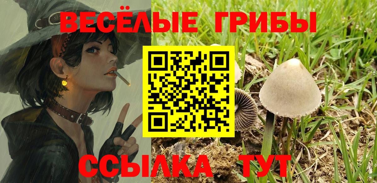 Азов  Галлюциногенные грибы Cubensis  Вход с VPN 