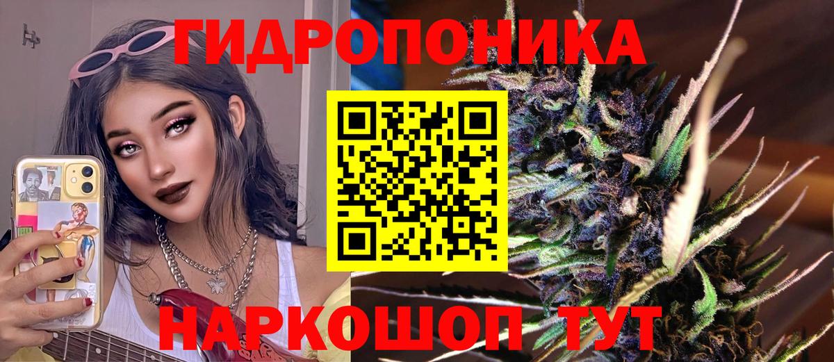 Канабис индика  Вход с VPN  Канабис семена  Азов  Бошки марихуана OG Kush 